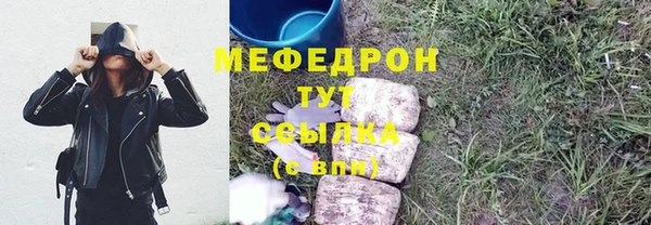 индика Бикин