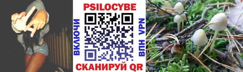 Галлюциногенные грибы Magic Shrooms  Тотьма 